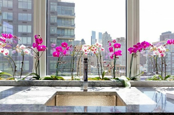 Cuisine et arrangements with orchids