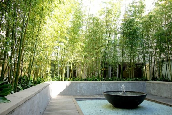 décoration jardin bambou