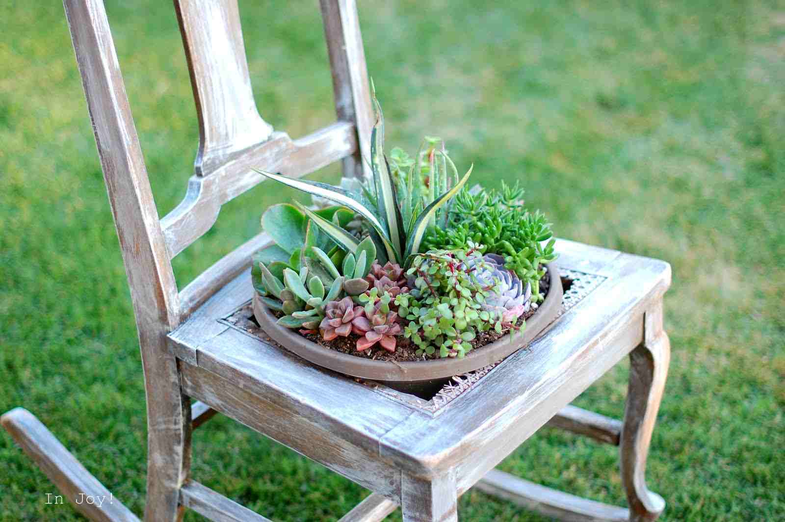 chaise bois bac à fleurs transformer idée pot céramique plante grasse