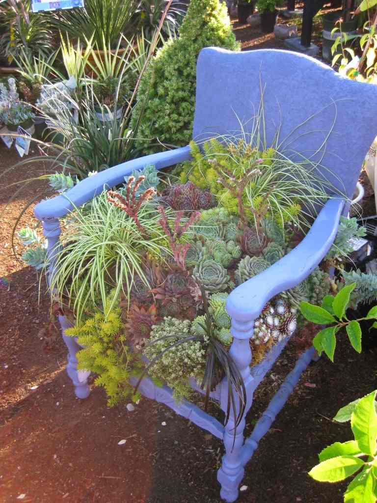 plante grasse chaise bois idée aménager décorer extérieur moderne 