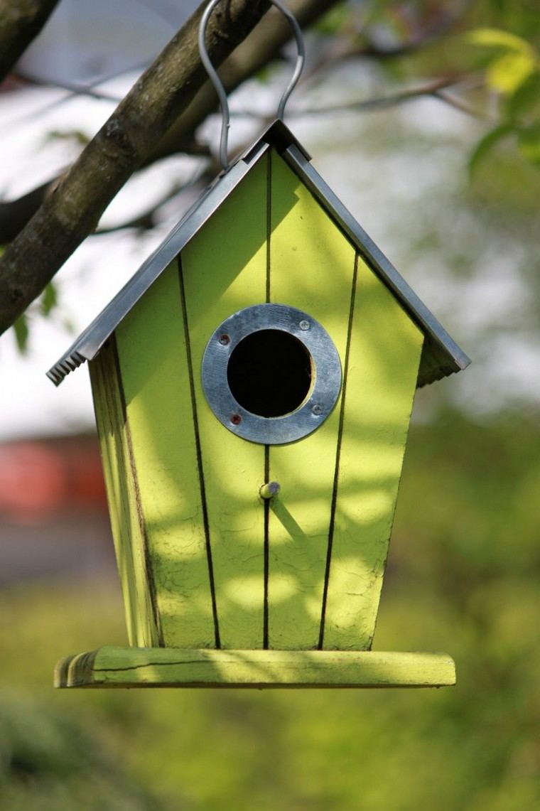 Maison à oiseaux à faire soi-même : une idée géniale