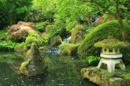 jardin vert bassin pierres