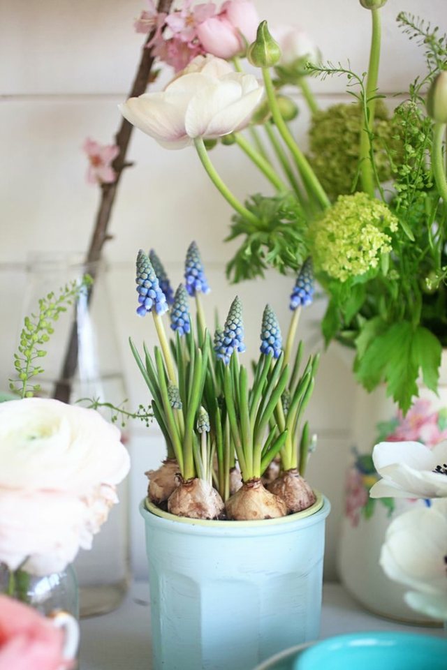 bouquet fleurs pot jacinthes