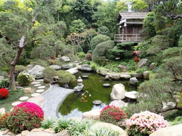 jardin eau style japonais