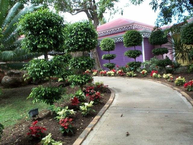 idée allée de jardin maison violette chemin en pierre