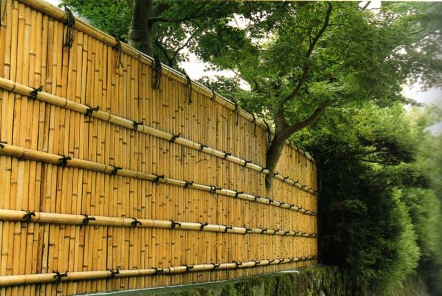 clôture bambou haute solide