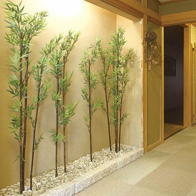idee plantes bambou decoration