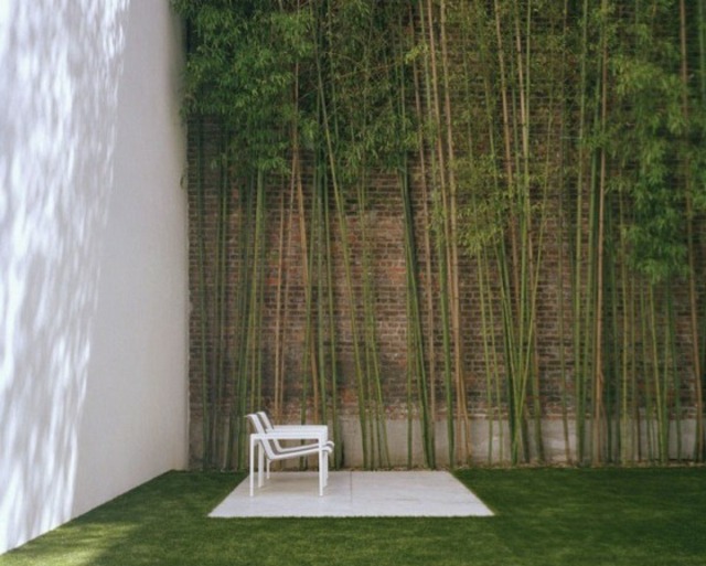 jardin deco bambou