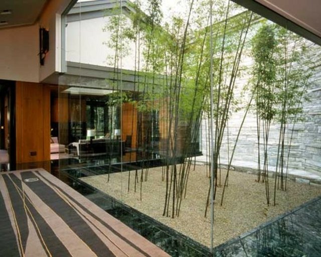 jardin japonais plantes bambou