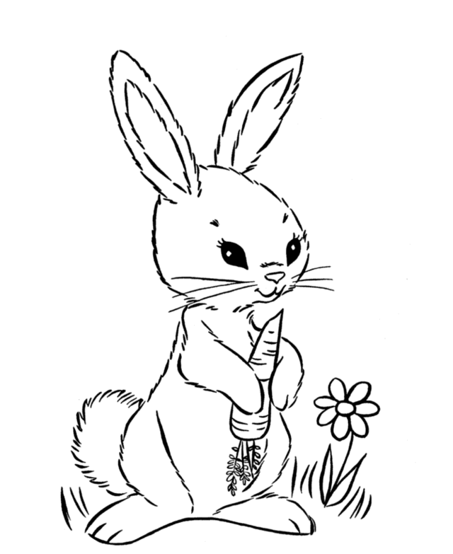 lapin paques idee coloriage