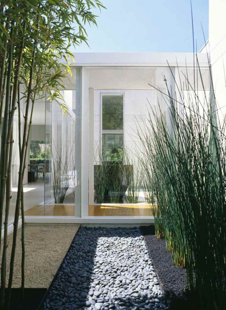 planter des bambous jardin minimaliste
