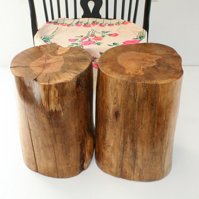 meubles troncs arbre table basse