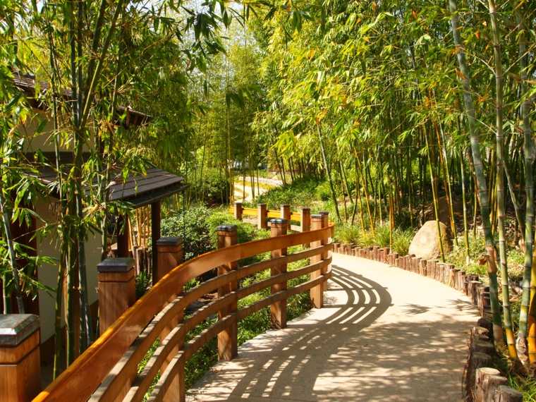 jardin japonais idée bambou