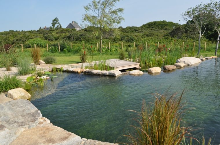 piscine naturelle lac idee
