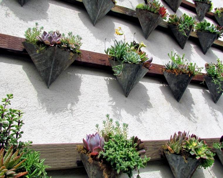 plantes succulentes mur vegetal