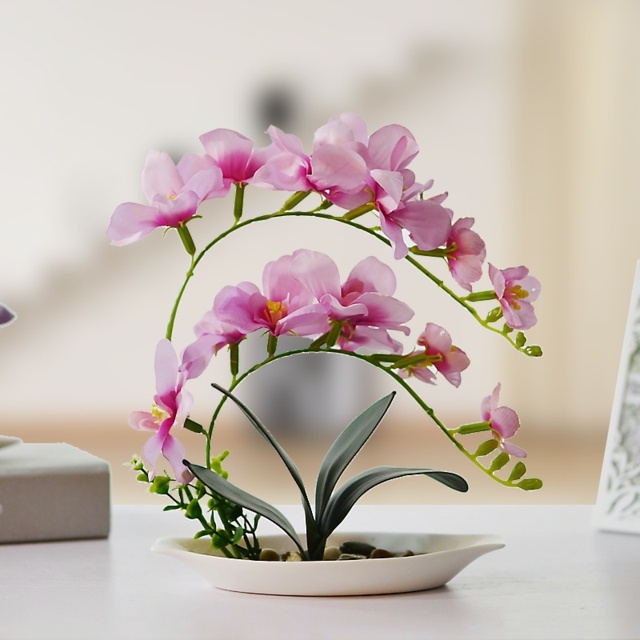 décoration florale idée originale orchidée plante 