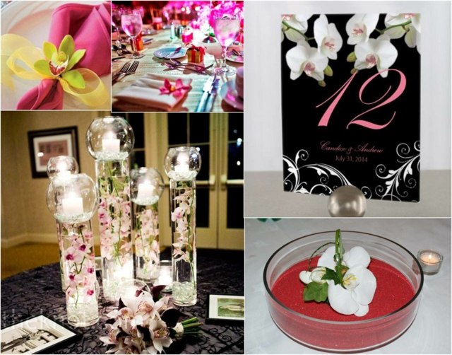 déco moderne design florale appartement plante orchidée blanche