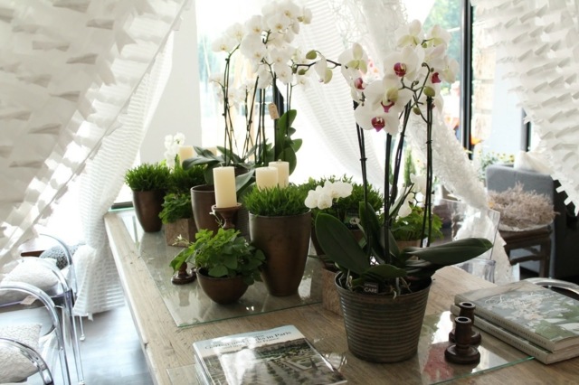 déco fleurs orchidées blanches déco de table festive 