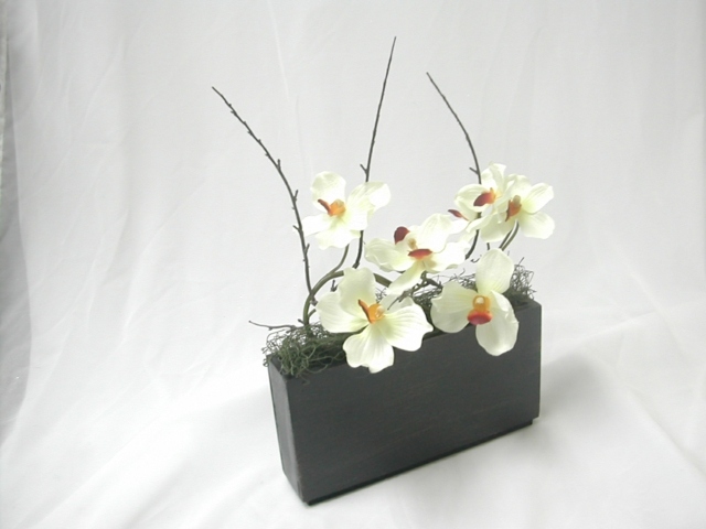 idée décoration orchidée blanche plante 