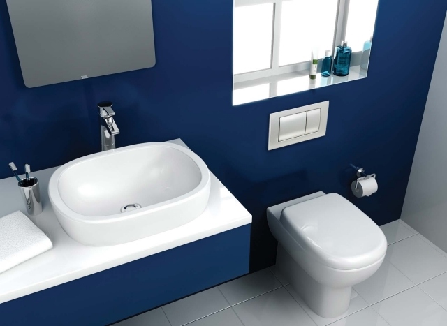 Idée-déco-salle-de-bains-couleur-bleue-blanc-toilettes