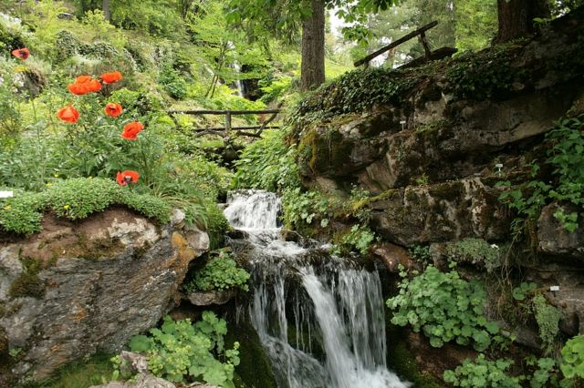 Jardin alpin fleuri cascade aquatique