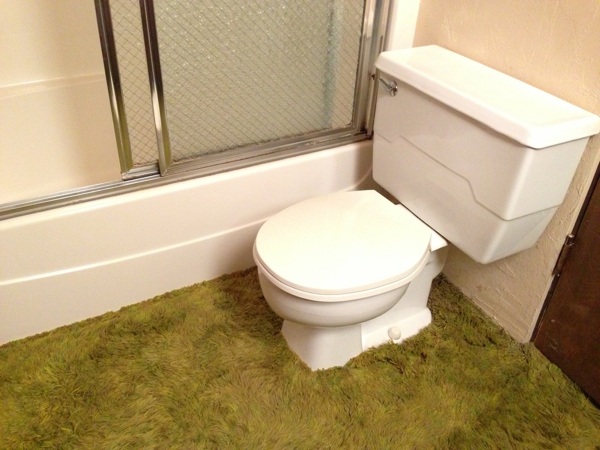 Toilettes avec un tapis shaggy