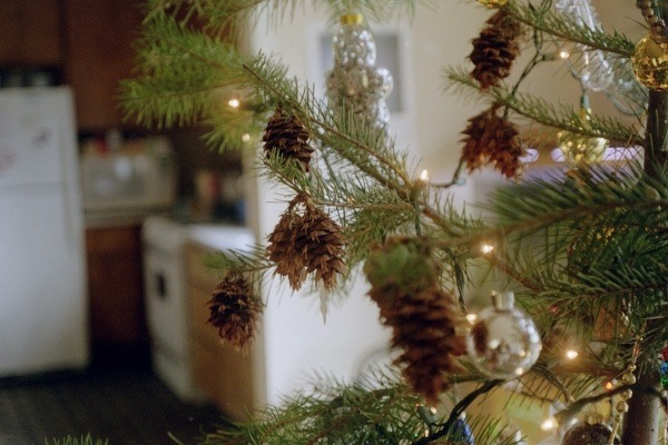 arbre-de-noël-idée-originale-cones-pin-guirlandes-lumineuses
