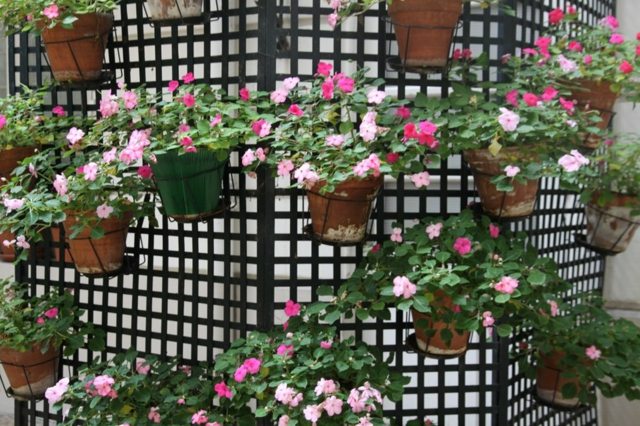  arrangement balcon jardin pots fleurs argile