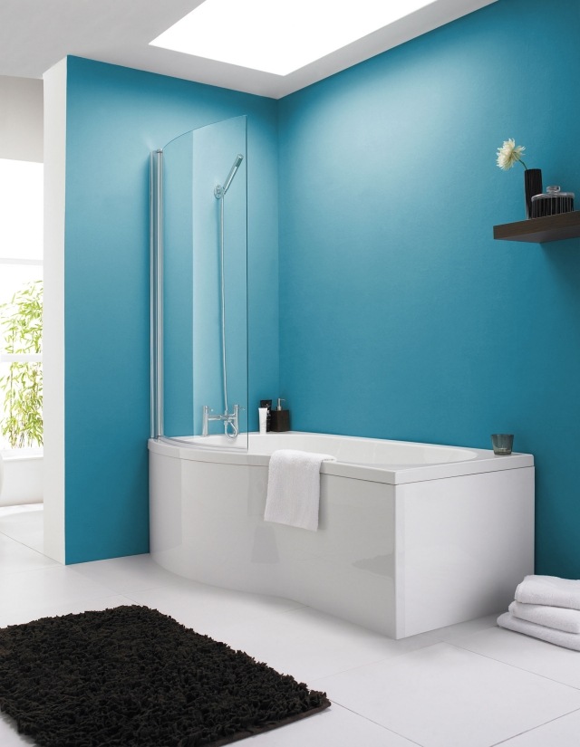 baignoire douche idée-originale-salle-bains-moderne-tapis-noir