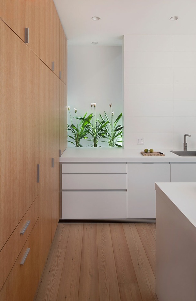 Maison simpliste avec sa cuisine assez ordinaire conception minimaliste bois