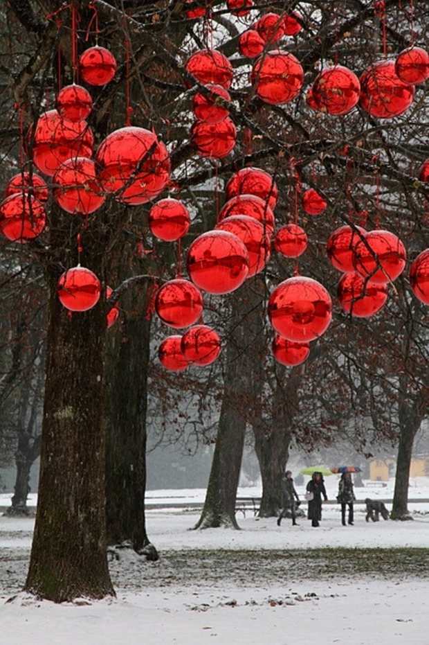 boules rouge luisant suspendues arbre contraste neige