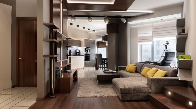 faux-plafond-aspect-bois-salon-spacieux-canapé-gris-revêtement-sol-parquet-stratifié
