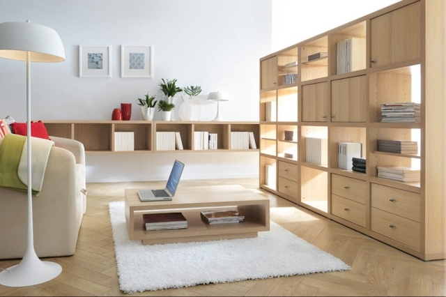 meubles-contemporains-idée-originale-bibliothèque-rangement