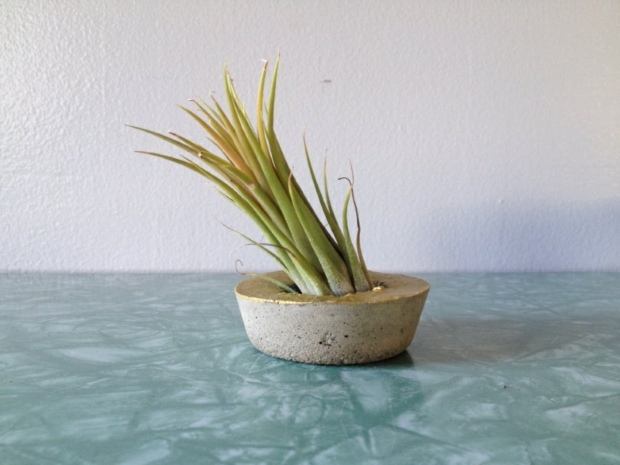 mini pot de fleur en beton elegant ReRunRoom