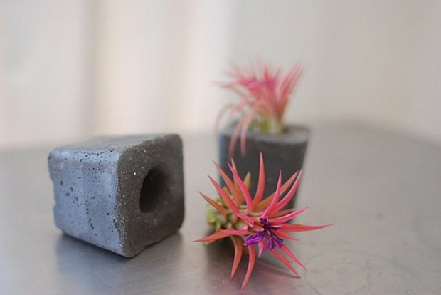pot de fleur design plante succulante dans béton