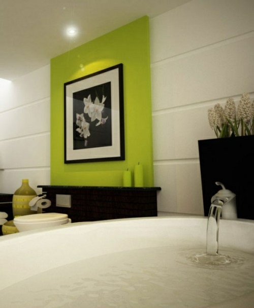 salle bain mur accent vert