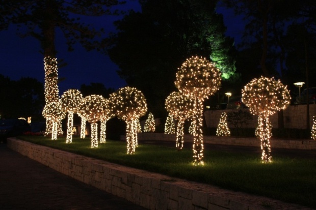superbe idee arbres illumines dans jardin