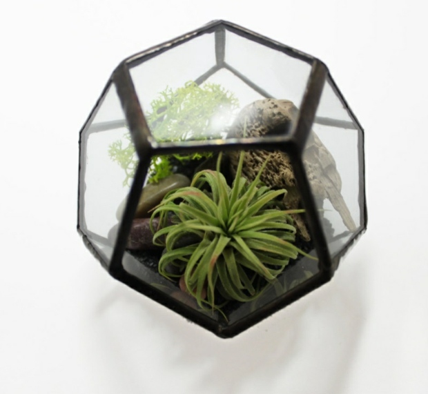 terrarium geodesique verre par Glimpse Glass
