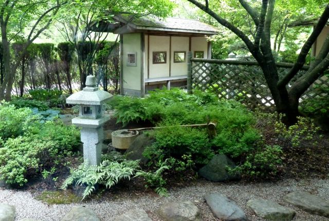 vue jardin japonaise vert