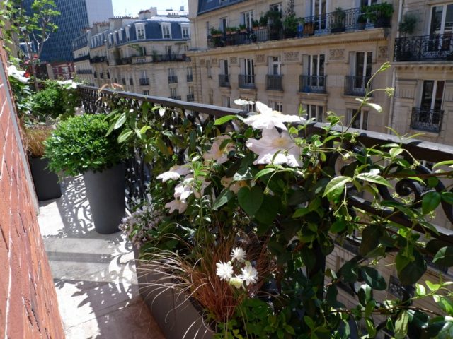 vue long balcon plantes grands pots