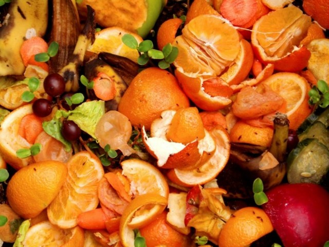 zoom compostage jardin avec fruits