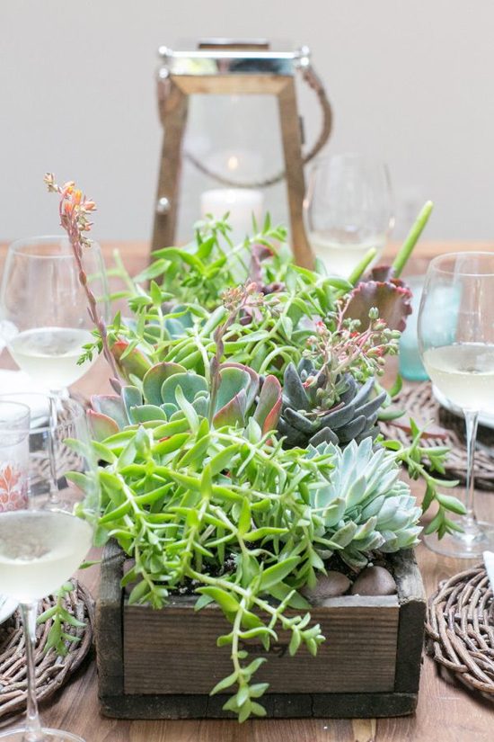 Centre de table avec des succulents
