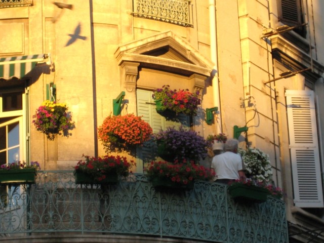 Jardin de balcon pots de fleurs multicolores