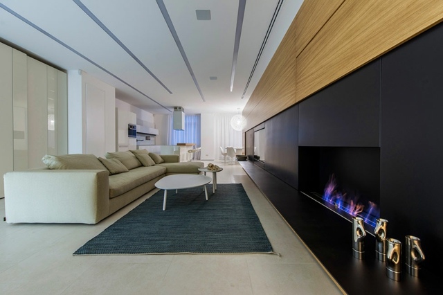 appartement moderne minimaliste salon cheminee