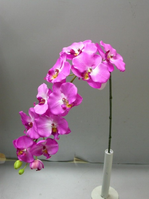 deco design orchidee rose