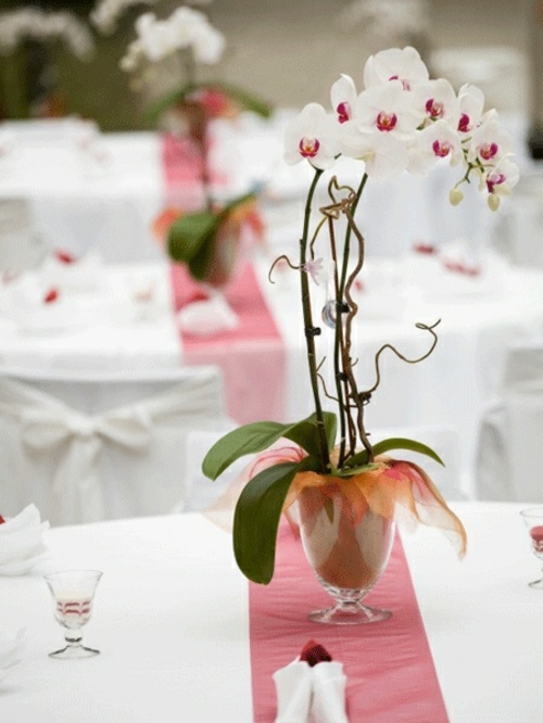 deco table belle orchidee