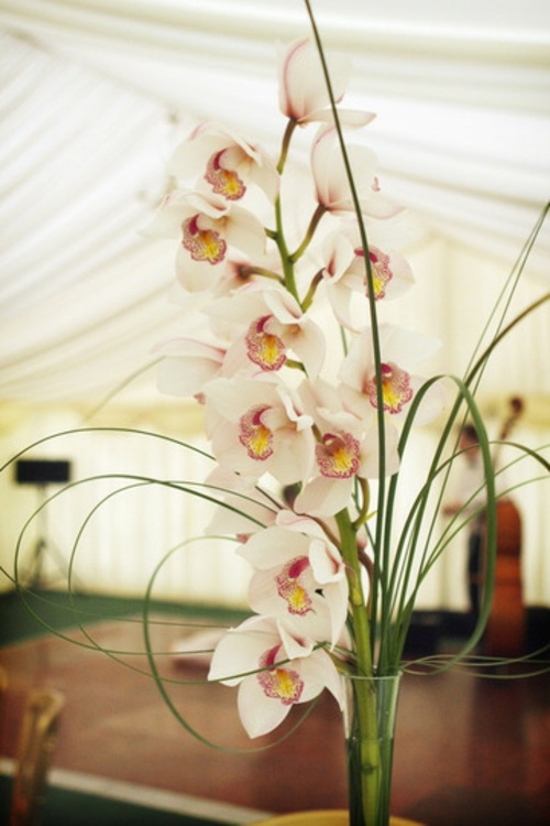 deco table elegante orchidee