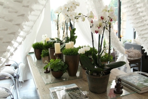 deco table originale orchidees