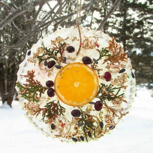 Couronne de Noël en glace décoration hiver fruits branches fraîches