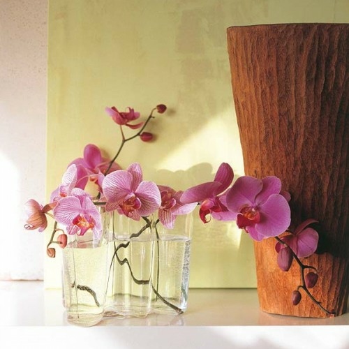 décoration orchidée rose interessante